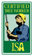  certified tree worker