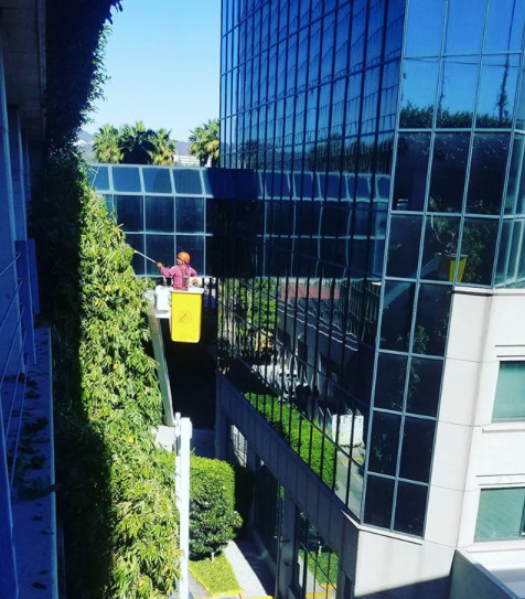 commercial tree service in Century City